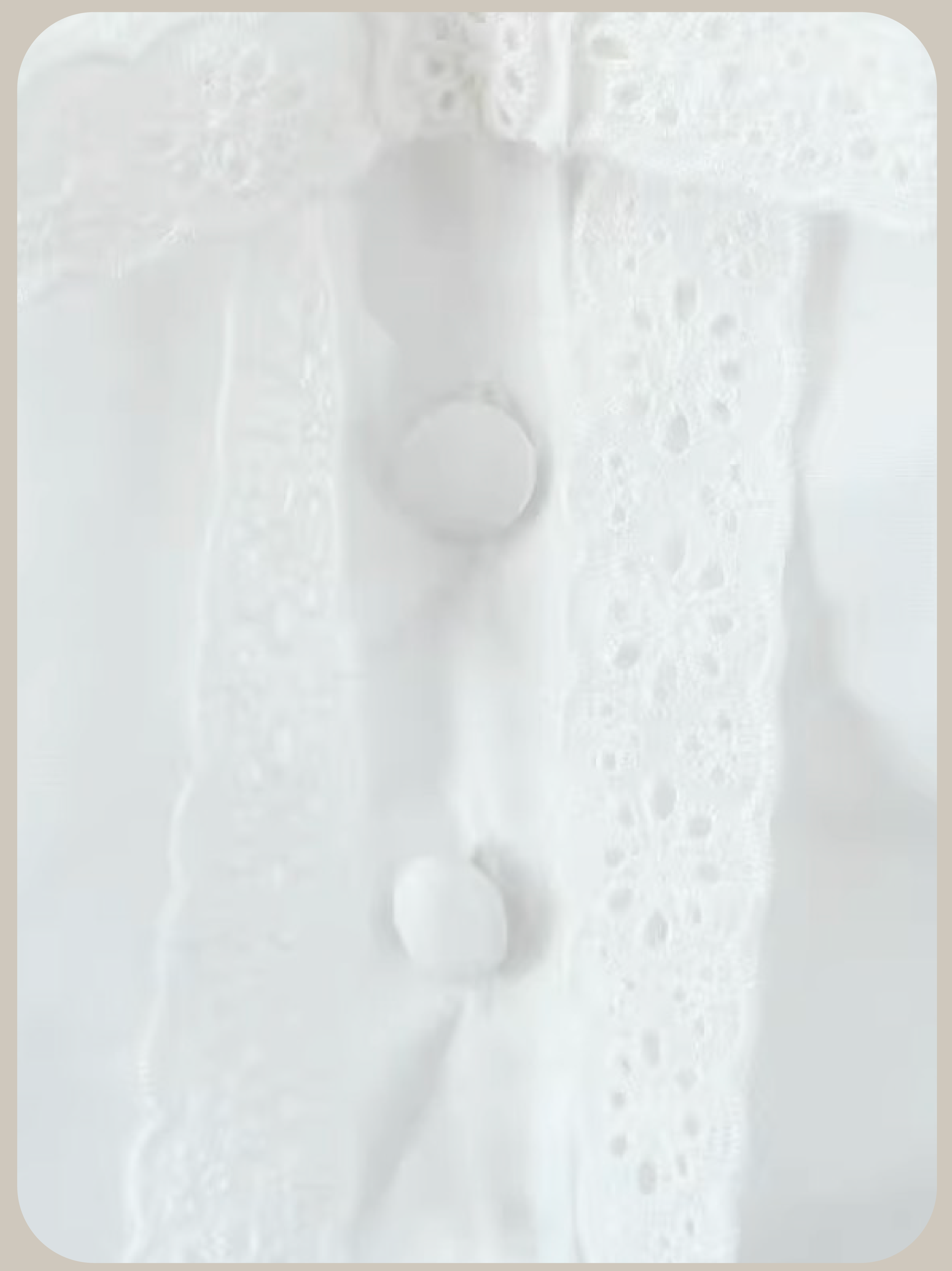 Sweet Lace Navy Set Up/スウィートレースネイビーセットアップ