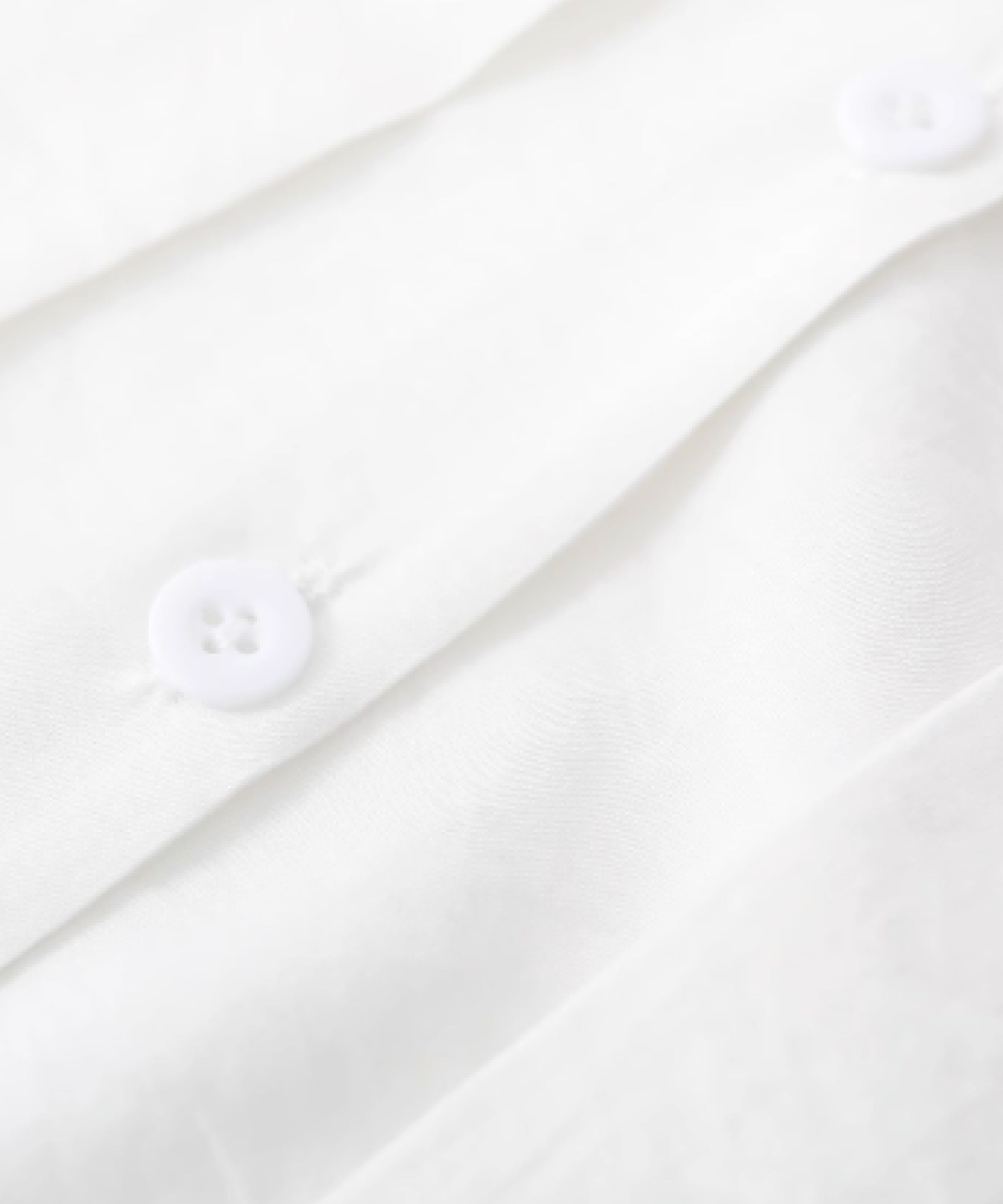 Elegant Ribbon Shirt Set Up