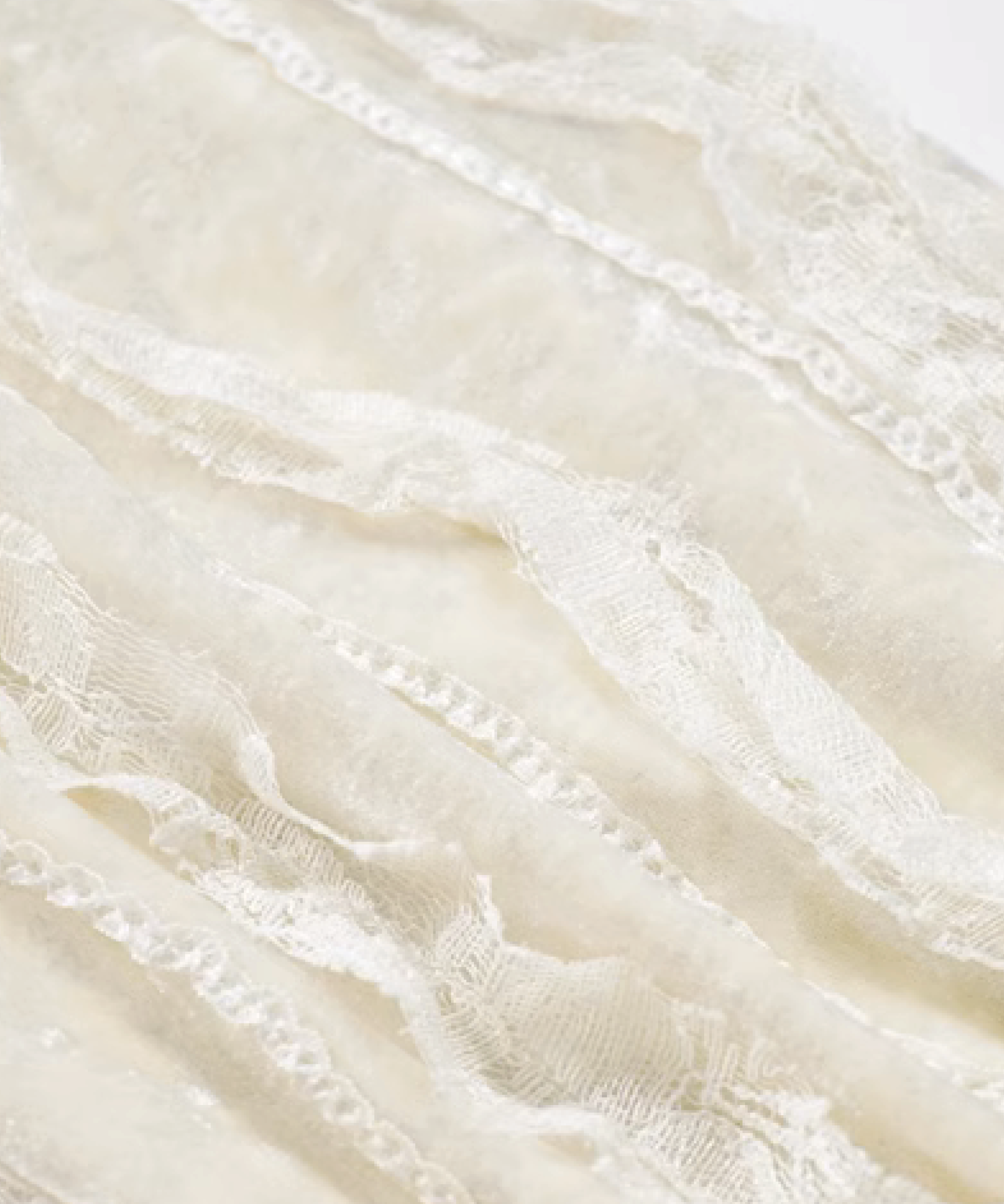 Detail Lace Velvet Texture Blouse ディテールレースベルベットテクスチャーブラウス
