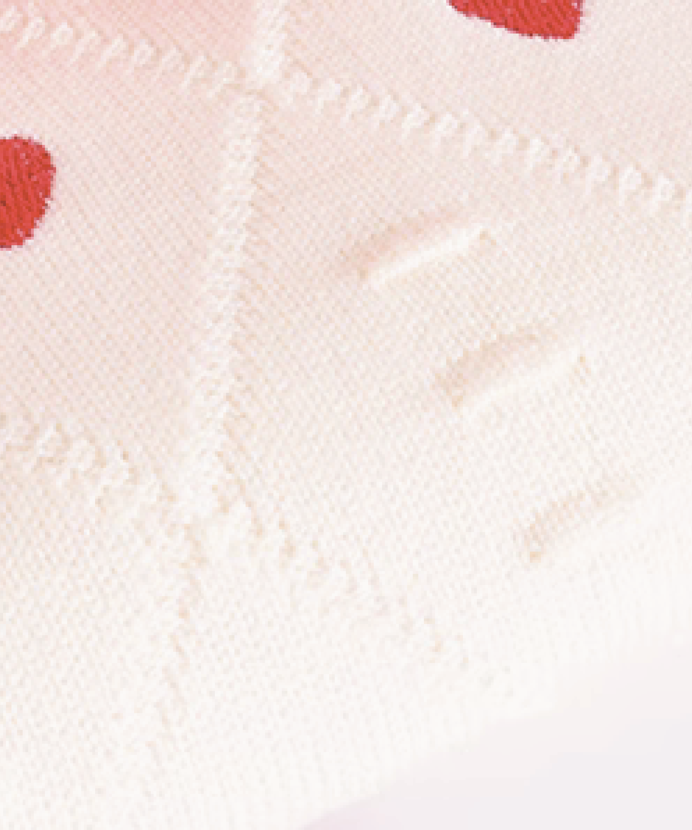 Heart Embroidery Knit Top