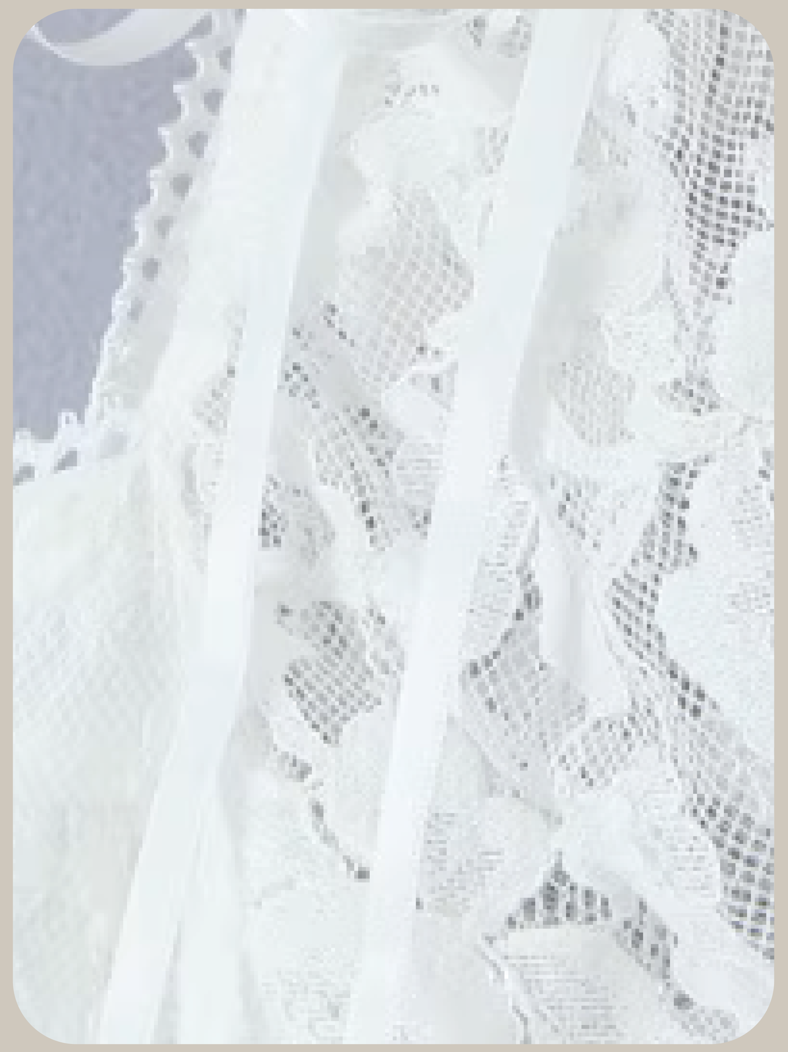 Big Collar Lace Embroidery Dress/ビッグカラーレース刺繍ドレス
