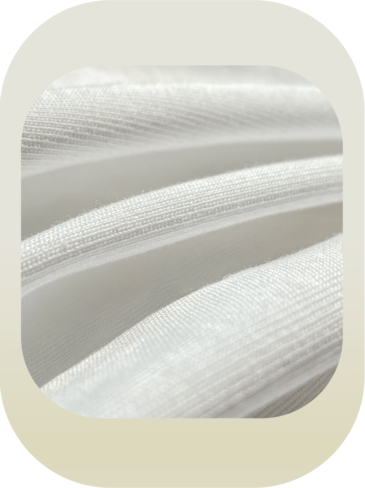 Cotton Bicolor Tee