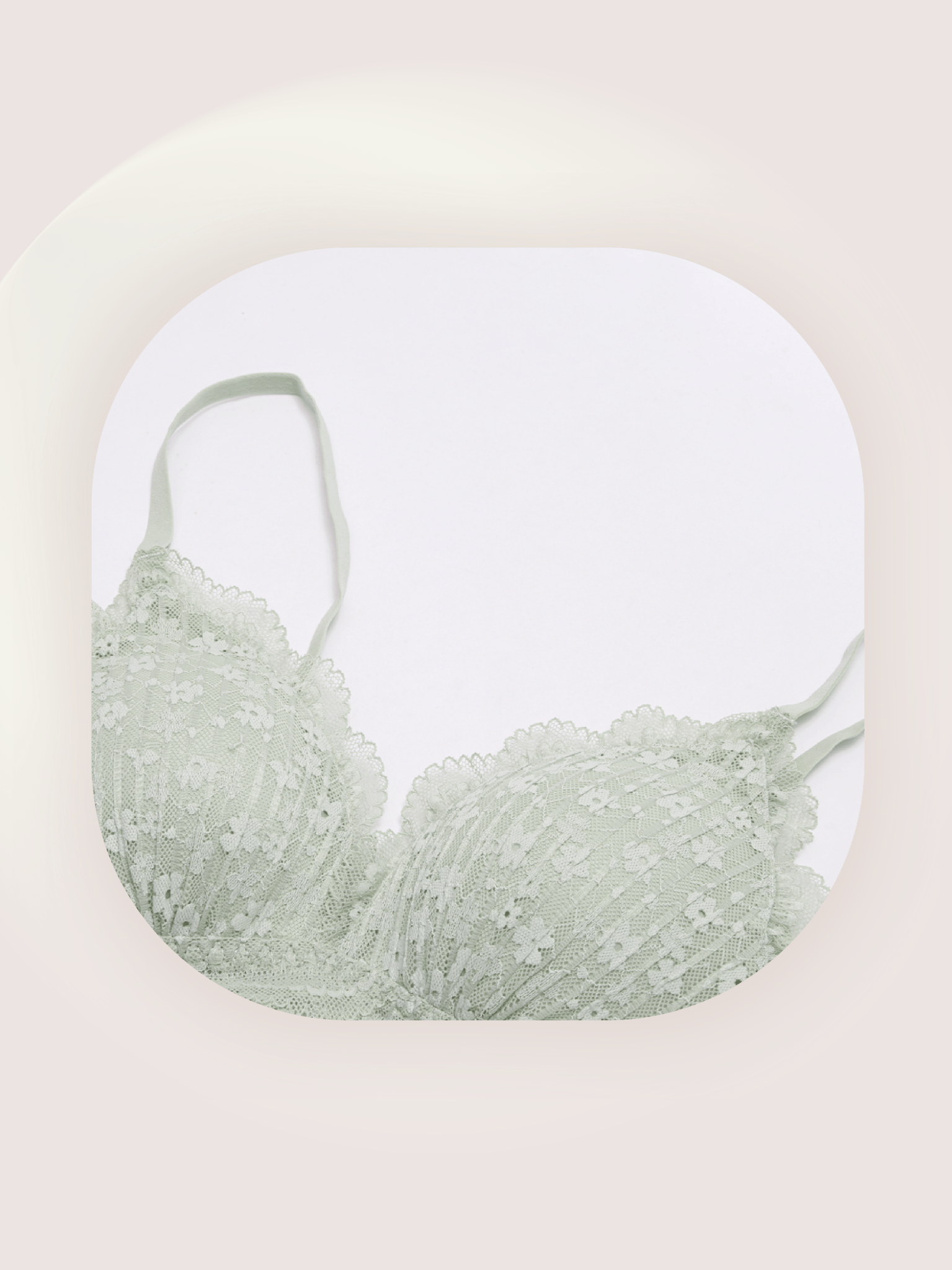 Lace Garden Brassiere - LOVE POMME POMME