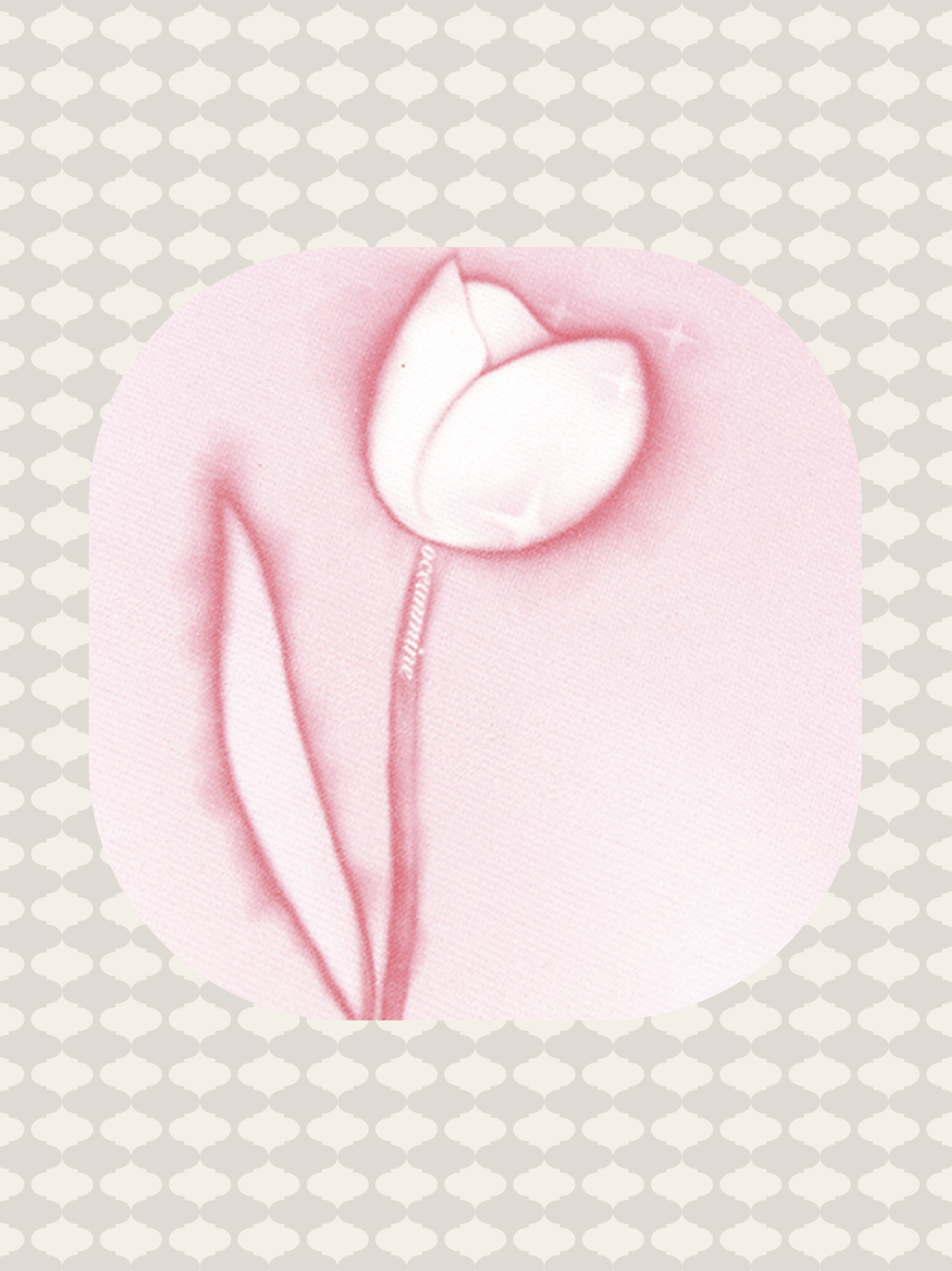 Tulip Pink Tee - LOVE POMME POMME